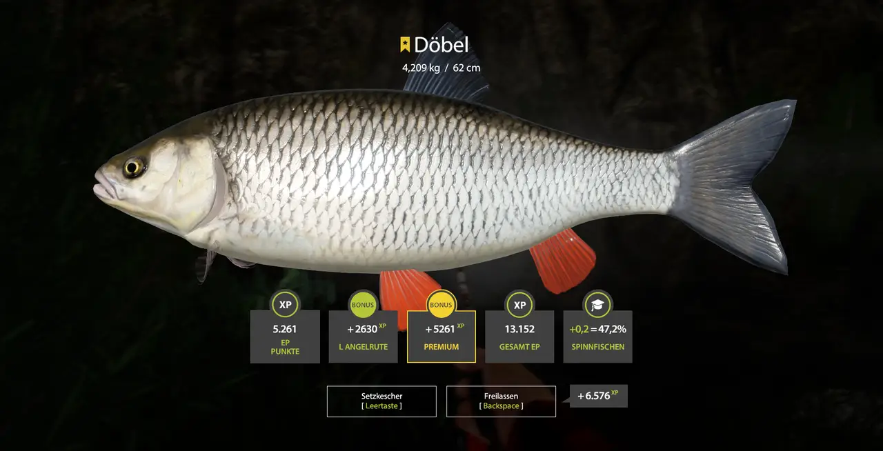 Belaja 70:35, Montage wie unten, nur mit 4er Haken