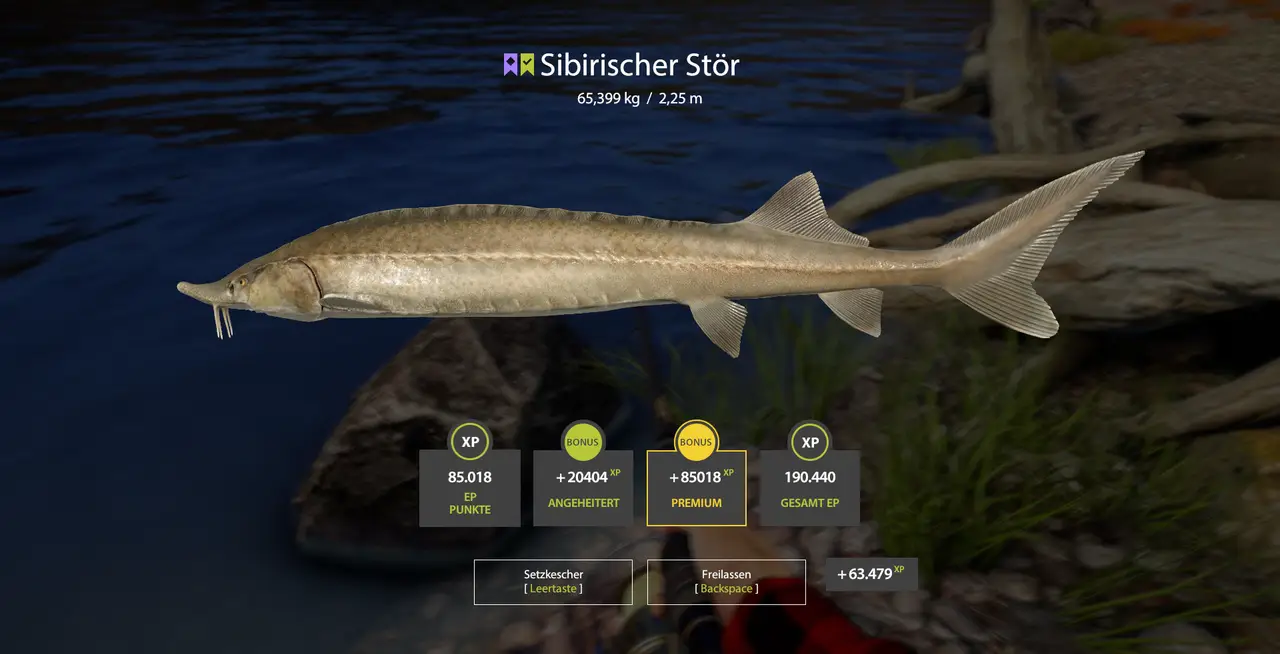 Leider etwas zu klein 😀