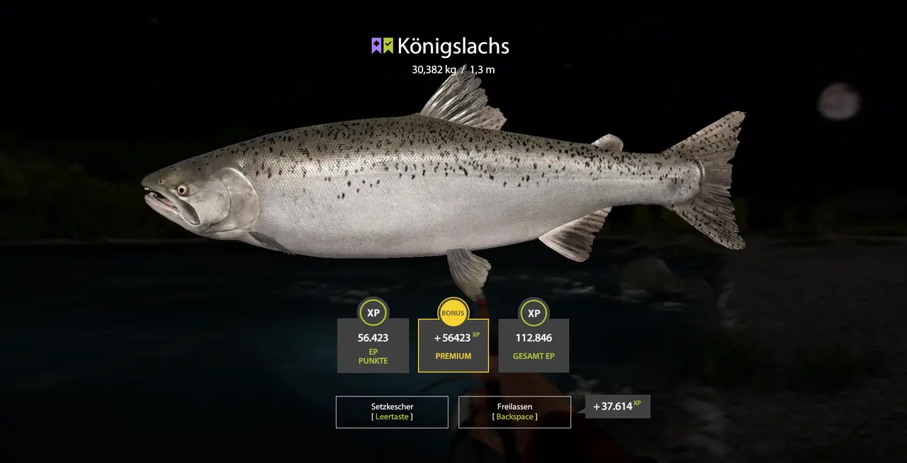 Der hat mich ganz sch&ouml;n ge&auml;rgert auf der 12 kg-Schnur...